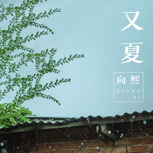 国产在线观看福利片
